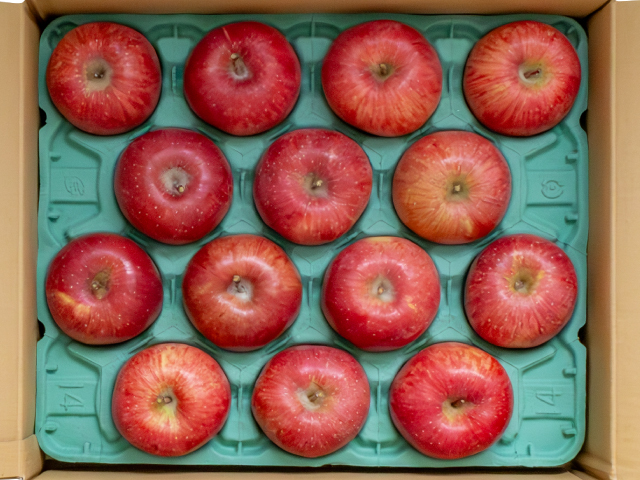 大ちゃん農園 サンふじ