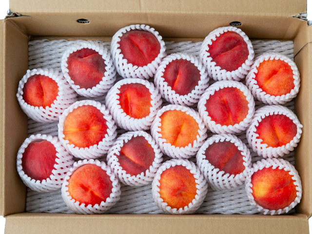 長野県芋井 大ちゃん農園 早生ワッサー約4.5kg