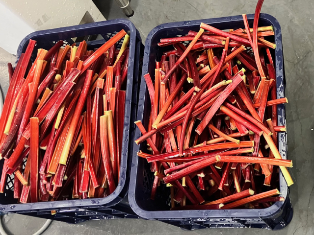 長野県富士見町産 赤いルバーブ(カット) 500g【冷凍】