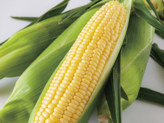 長野県信濃町指定農園とうもろこし「ゴールドラッシュ」5kg