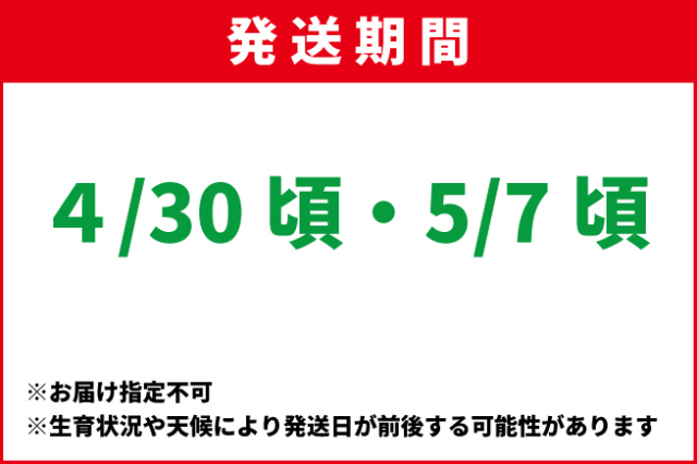 JA上伊那 アルストロメリア鉢