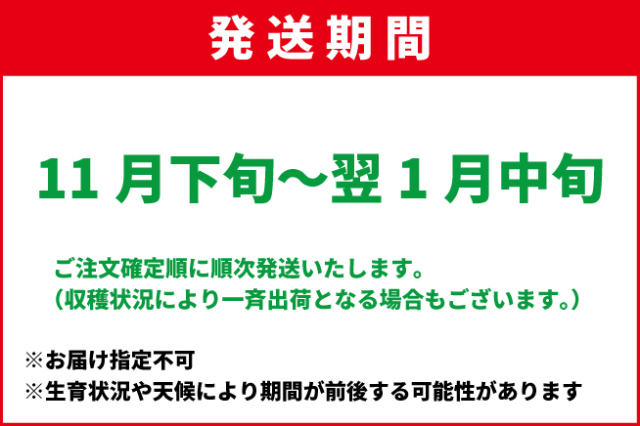 11月下旬-1月中旬