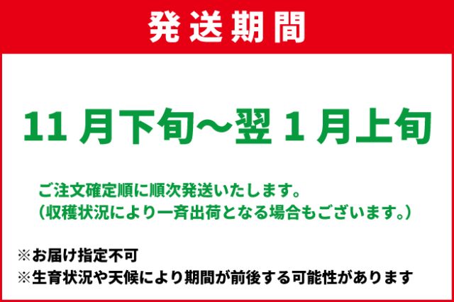11月下旬-1月上旬
