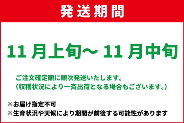 11月上旬-11月中旬