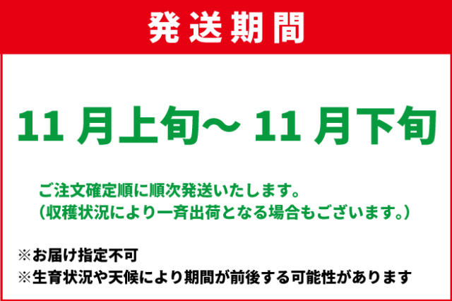 11月上旬-11月下旬