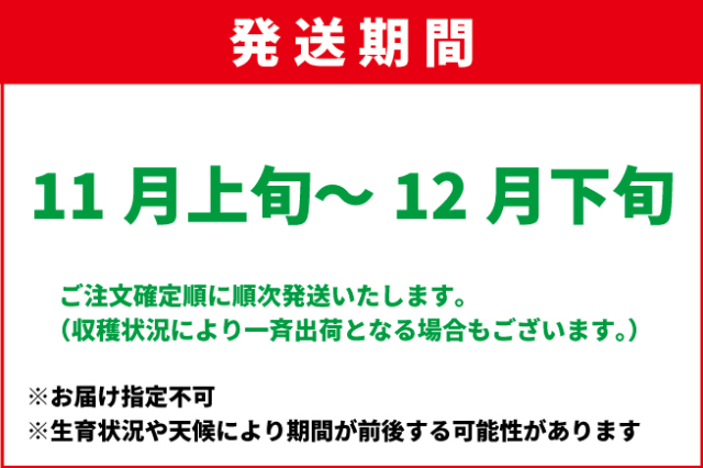 11月上旬-12月下旬