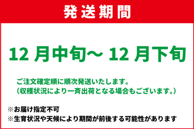 12月中旬-12月下旬