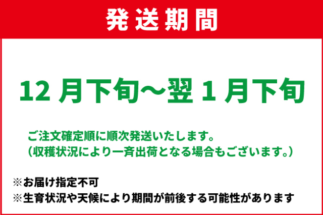 12月下旬-1月下旬