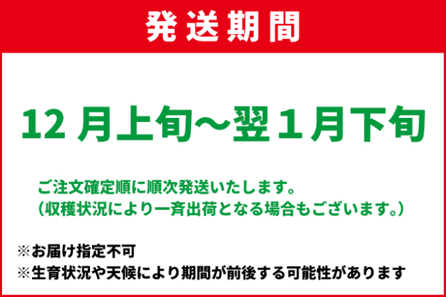 JA松本ハイランド グラニースミス 約4.5kg