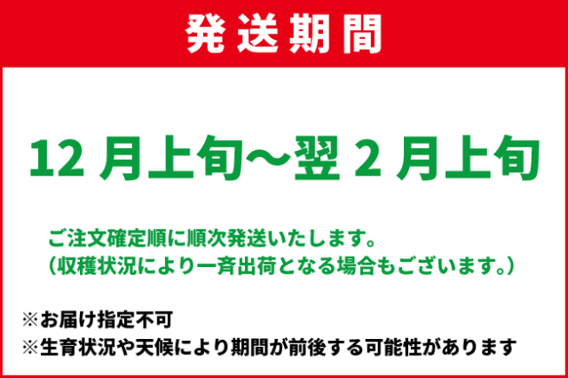 12月上旬-2月上旬