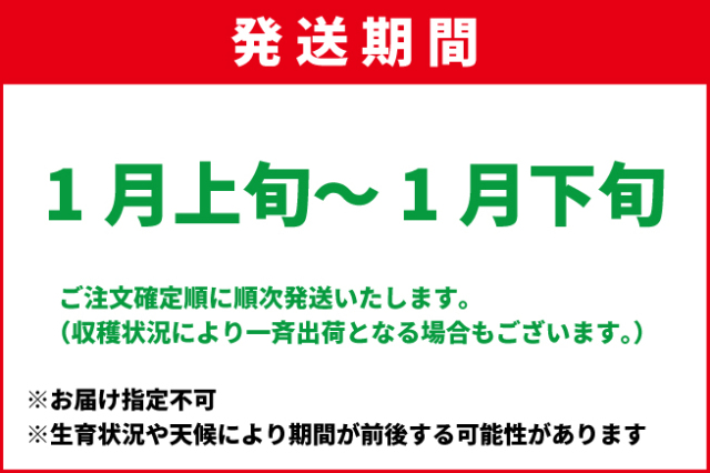 こばやし園 須坂市産 サンふじ 約10kg