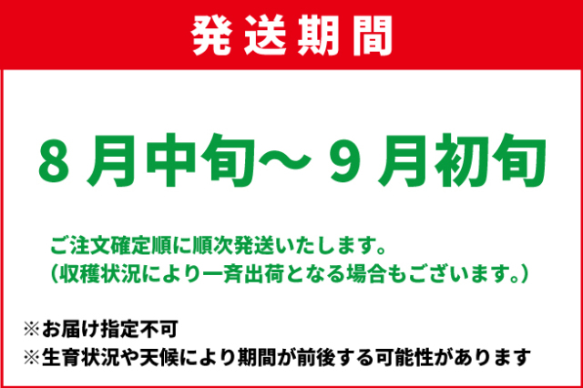 8月中旬-9月初