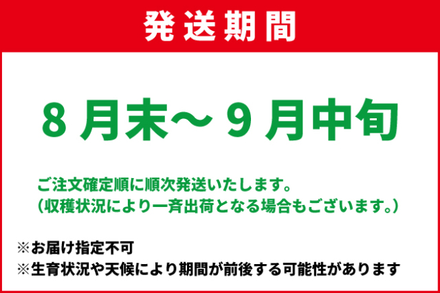 8月末-9月中旬