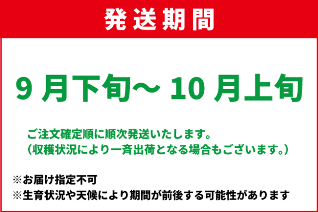 発送9月下旬-10上旬