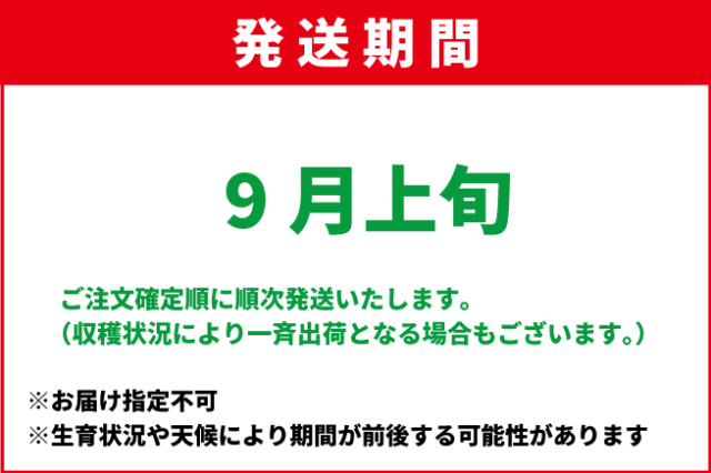 9月上旬