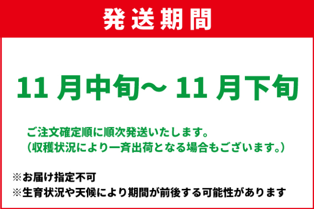 11月中旬-11月下旬