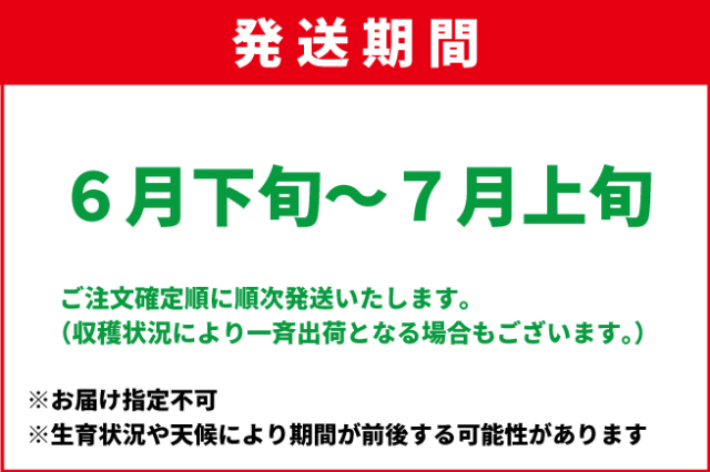 6月下旬-7月上旬