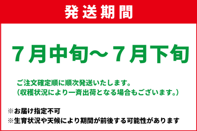 7月中旬-7月下旬