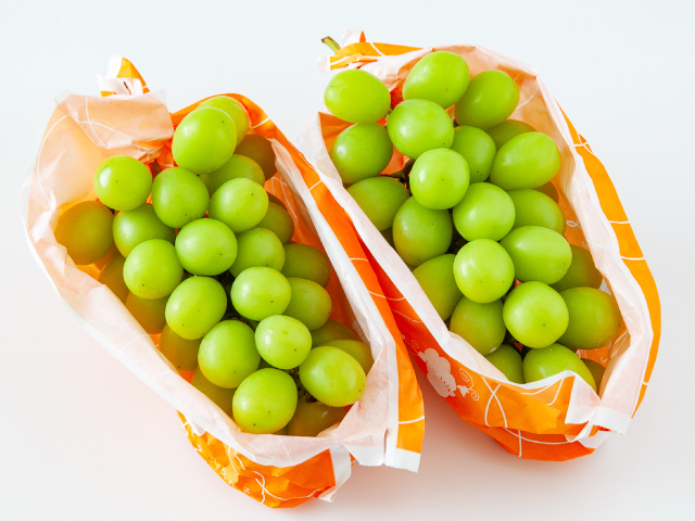 長野イズミ　シャインマスカット