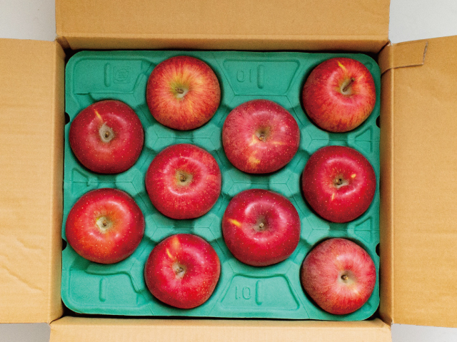 芋井　大ちゃん農園