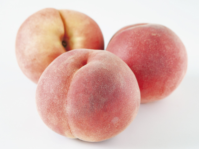 海谷さんちのなつっこ