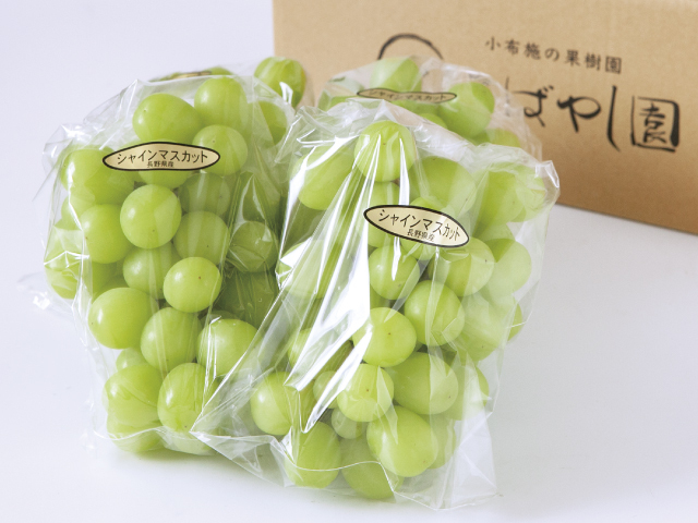 信州小布施町こばやし園 シャインマスカット約1.5kg_訳あり