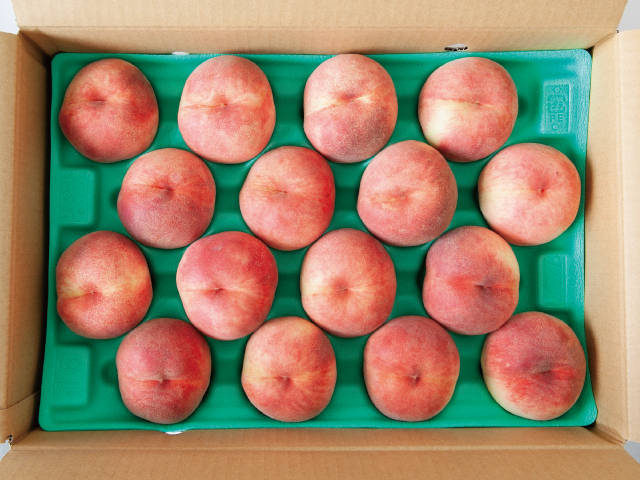 海谷農園　白鳳