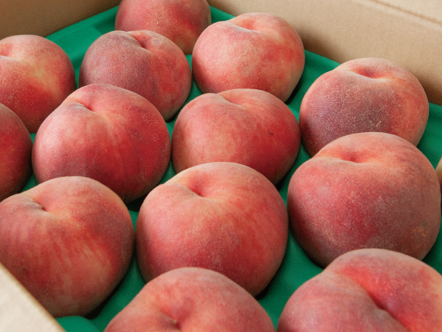 海谷農園　白鳳