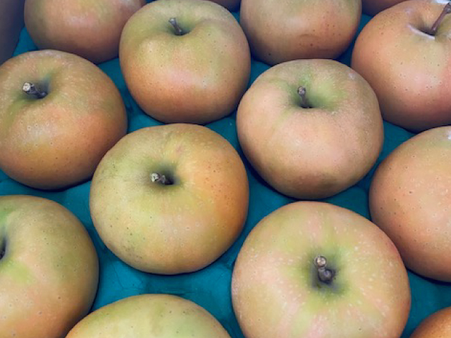 JA上伊那　なかののきらめき