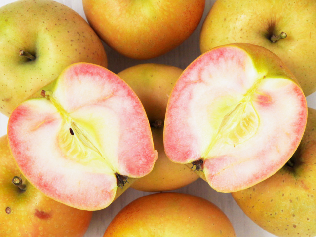 JA上伊那 なかののきらめき 約2.5kg_特秀[予約期間：2025.10/29-11/13]