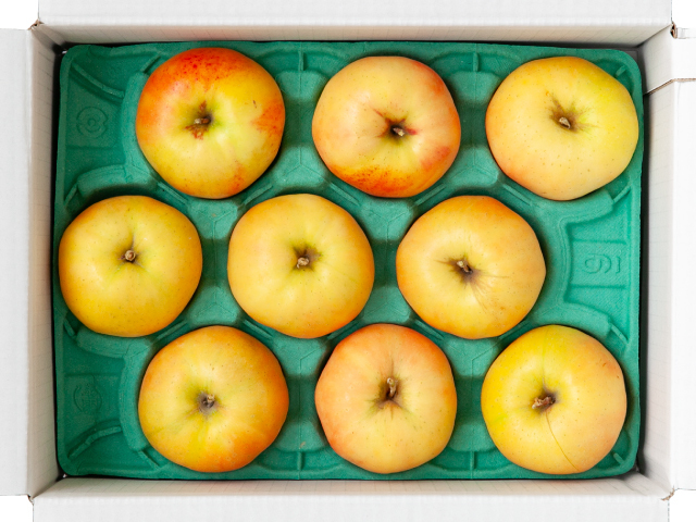 JA上伊那 ムーンルージュ 約2.5kg_秀