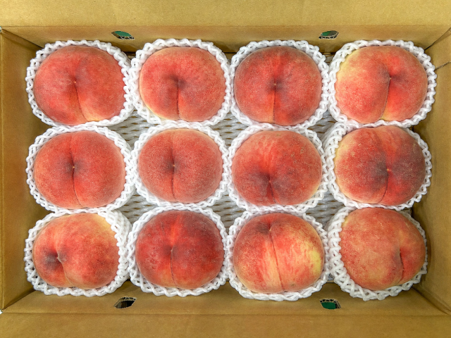 輝々桃 あかつき