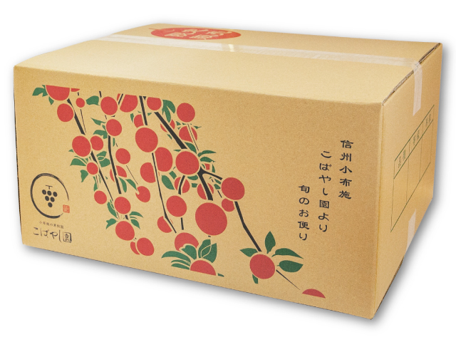 こばやし園 須坂市産 サンふじ 約15kg【訳あり】