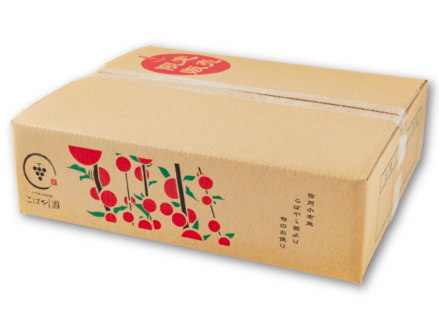 こばやしゆふさん こばやし園 須坂市産 サンふじ 約5kg