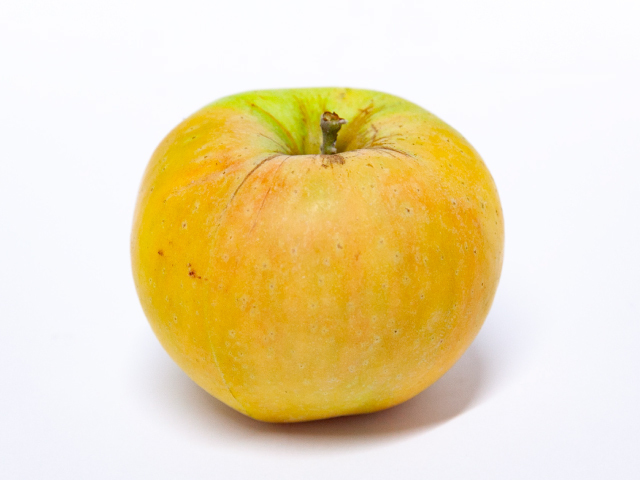 こばやし園 須坂市産 ムーンルージュ 約3kg