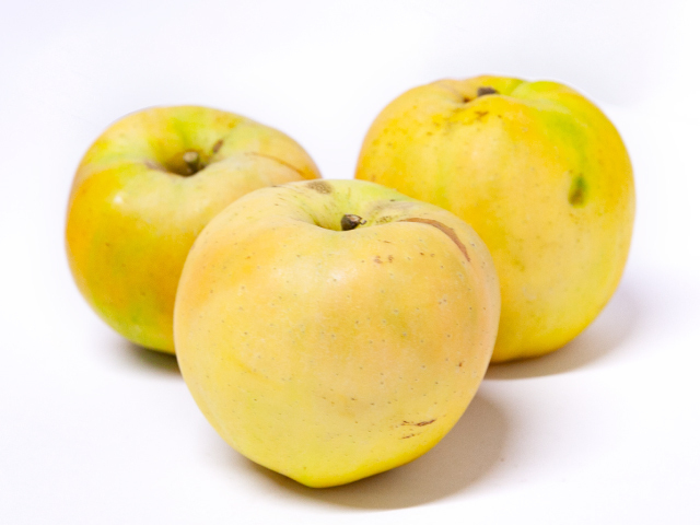 こばやし園 ムーンルージュ 約3kg【訳あり】
