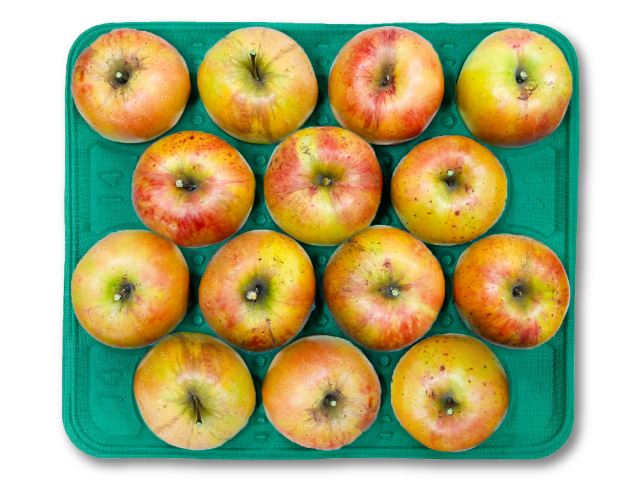 こばやし園 須坂市産 ムーンルージュ 約5kg【訳あり】