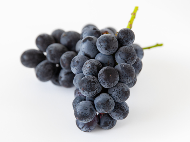 こばやし園ナガノパープル訳あり