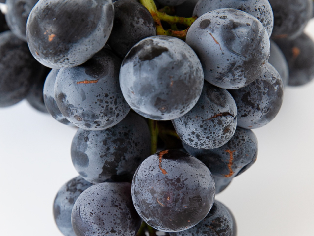 こばやし園ナガノパープル訳あり