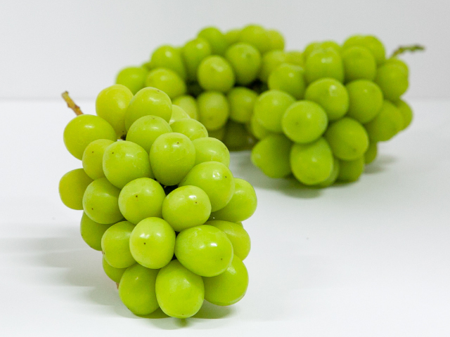 こばやし園　シャインマスカット