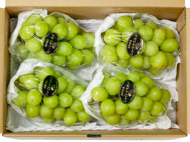 こばやし園 シャインマスカット