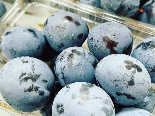 こばやし園 長野県産 プルーン400g×4P