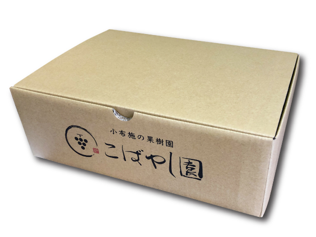 こばやし園 小布施町産ワッサー 約2.8kg(早生種)