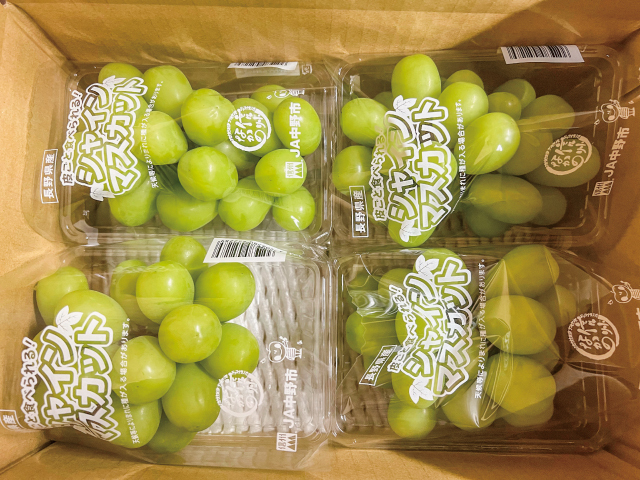 丸山農園　シャインマスカット