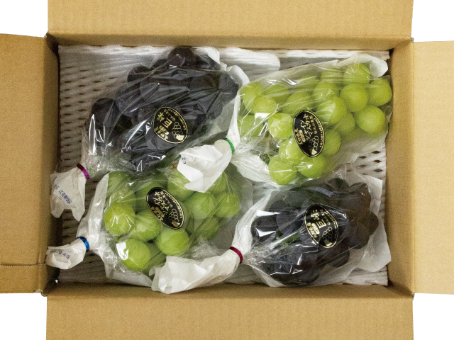 丸山農園　シャイン　巨峰