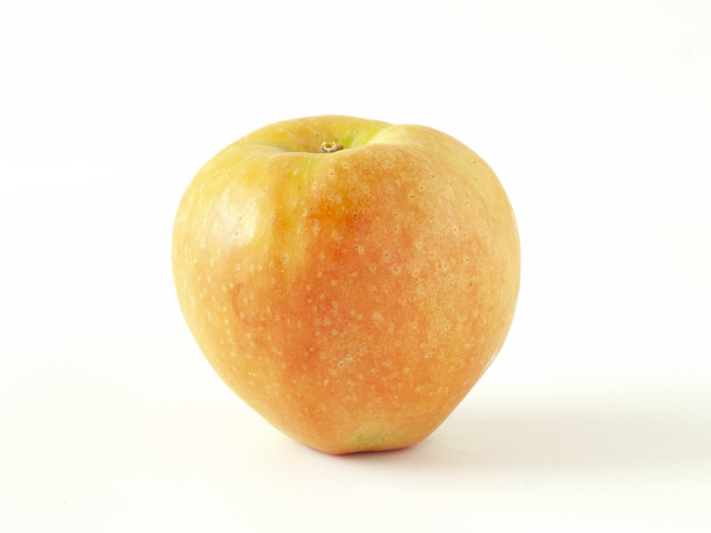 JA上伊那 ムーンルージュ 約2.5kg_秀