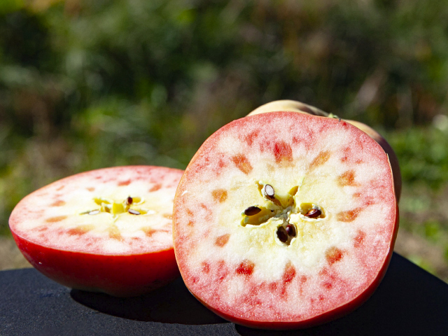 JA上伊那 ムーンルージュ 約2.5kg_秀