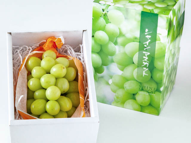 長野県産シャインマスカット1房