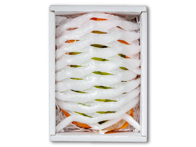 長野県産シャインマスカット1房