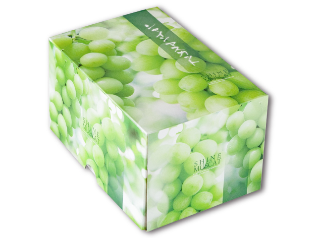 長野県産シャインマスカット1房